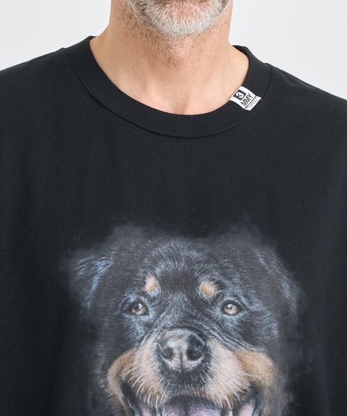 Maison Mihara Yasuhiro Dog Printed T ミハラヤスヒロ Tシャツ Maison MIHARA YASUHIRO ONLINE STORE（メゾンミハラヤスヒロ