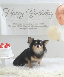 Calulu(J)Calulu/HAPPYBIRTHDAYAjo[T[^yXg[(̑ybgObY)