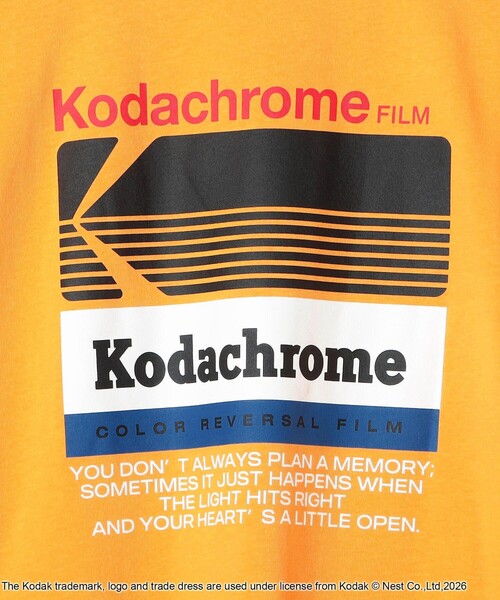 KODAK(コダック)の「【Kodak/コダック】ロゴプリント ショートスリーブTシャツ(Tシャツ/カットソー・メンズ・イエロー/レッド/ホワイト・L/M)」の20枚目の写真