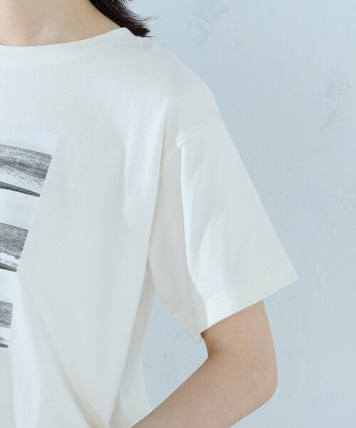 COMME CA ISM（コムサイズム）の「フォトプリント Tシャツ（Tシャツ/カットソー・レディース・アイボリー/ブラック/杢グレー/ネイビー・SMALL/MEDIUM/LARGE）」の11枚目の写真