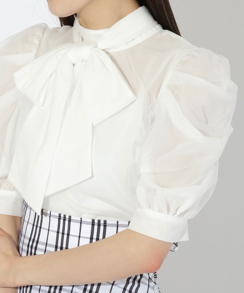 AND COUTURE(アンドクチュール)の「チュールレーヤードブラウス(シャツ/ブラウス・レディース・ピンク/オフホワイト/ライトグレー/ベージュ・MEDIUM)」の17枚目の写真