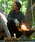 URBAN RESEARCH Sonny LabeliA[oT[`Tj[[xj́uOOPS@T[}w[lbNvI[o[iTVc/Jbg\[jvb`R[O[