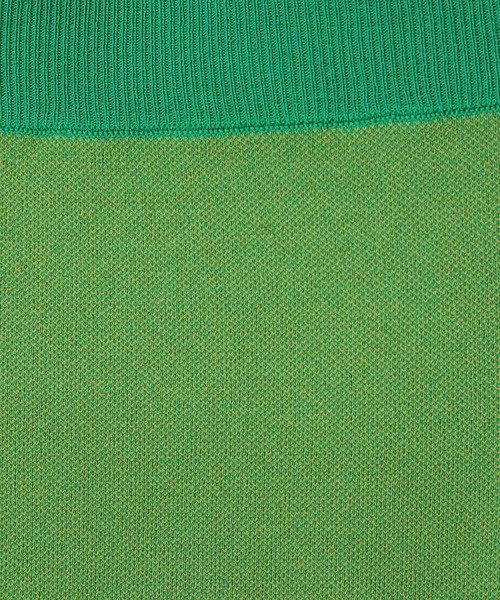 LEPSIM(レプシィム)の「14ゲージニットナロースカート 242468(スカート・レディース・グリーン/アイボリー/ブラック/パープル/カーキ/オレンジ/イエロー/ライトグレー/ライム・TALL/FREE)」の14枚目の写真