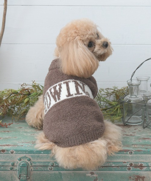 EDWIN(エドウィン)の「EDWIN/もこもこロゴスウェット25a(ペットウェア・メンズ・グリーン/ブラウン・M/S/XS/L/3L/2L)」の2枚目の写真