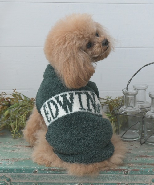 EDWIN(エドウィン)の「EDWIN/もこもこロゴスウェット25a(ペットウェア・メンズ・グリーン/ブラウン・M/S/XS/L/3L/2L)」の1枚目の写真