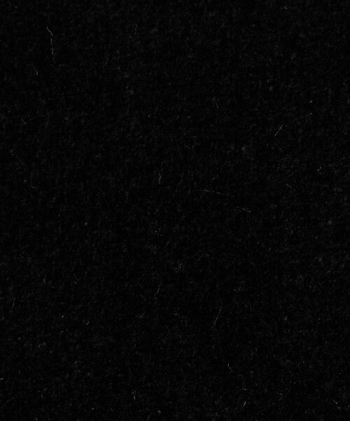 DES PRES（デ・プレ）の「ブライトベロア ミニTシャツ（Tシャツ/カットソー・レディース・ブラック/ホワイト・FREE）」の10枚目の写真