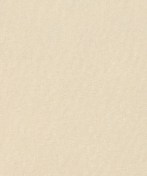 DES PRES（デ・プレ）の「ブライトベロア ミニTシャツ（Tシャツ/カットソー・レディース・ブラック/ホワイト・FREE）」の11枚目の写真