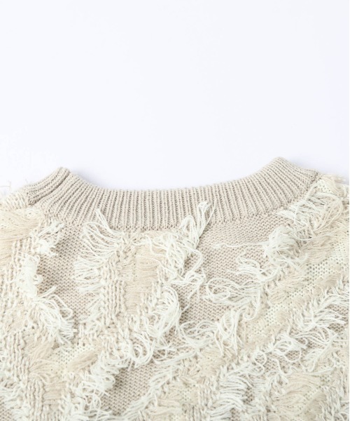 AMELY(エミリー)の「ジャガードフリンジニットトップス(ニット/セーター・レディース・ブラック/ベージュ/ブラウン・フリー)」の20枚目の写真