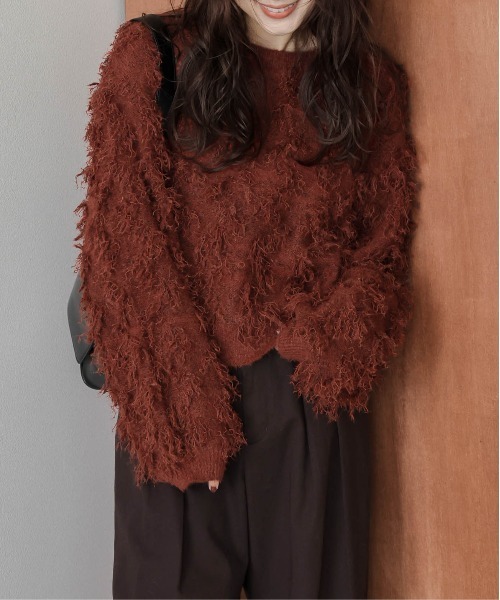 AMELY(エミリー)の「フリンジデザインニットプルオーバー(ニット/セーター・レディース・ベージュ/ブラック/テラコッタ/グレー・フリー)」の18枚目の写真