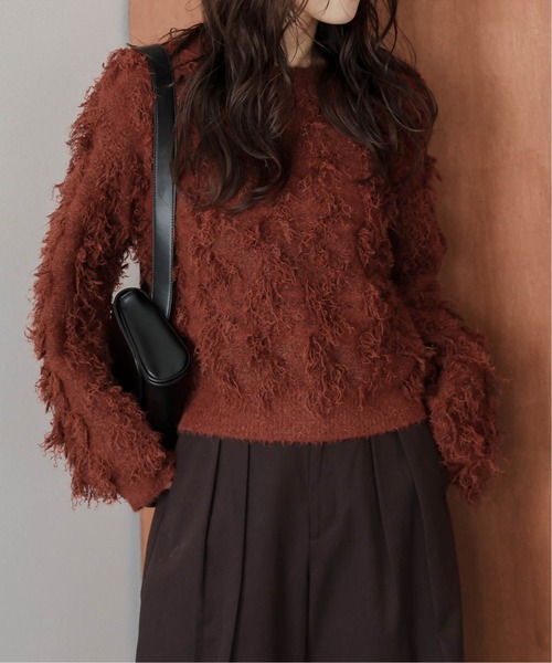 AMELY(エミリー)の「フリンジデザインニットプルオーバー(ニット/セーター・レディース・ベージュ/ブラック/テラコッタ/グレー・フリー)」の19枚目の写真