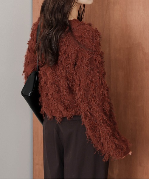 AMELY(エミリー)の「フリンジデザインニットプルオーバー(ニット/セーター・レディース・ベージュ/ブラック/テラコッタ/グレー・フリー)」の22枚目の写真