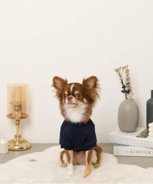 moncheri（モンシェリ）の「宇宙柄刺繍トップス（ペットウェア・レディース・カーキ/ネイビー・S/M/L/XL）」の13枚目の写真