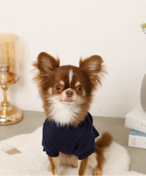 moncheri（モンシェリ）の「宇宙柄刺繍トップス（ペットウェア・レディース・カーキ/ネイビー・S/M/L/XL）」の14枚目の写真