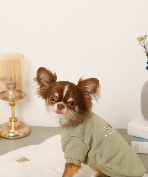 moncheri（モンシェリ）の「宇宙柄刺繍トップス（ペットウェア・レディース・カーキ/ネイビー・S/M/L/XL）」の5枚目の写真