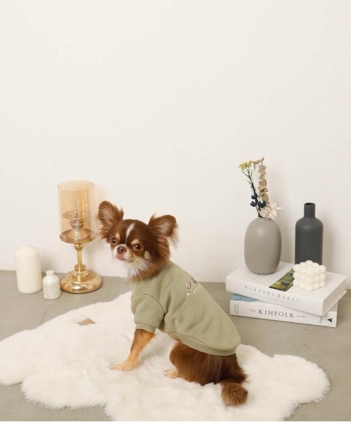 moncheri（モンシェリ）の「宇宙柄刺繍トップス（ペットウェア・レディース・カーキ/ネイビー・S/M/L/XL）」の6枚目の写真