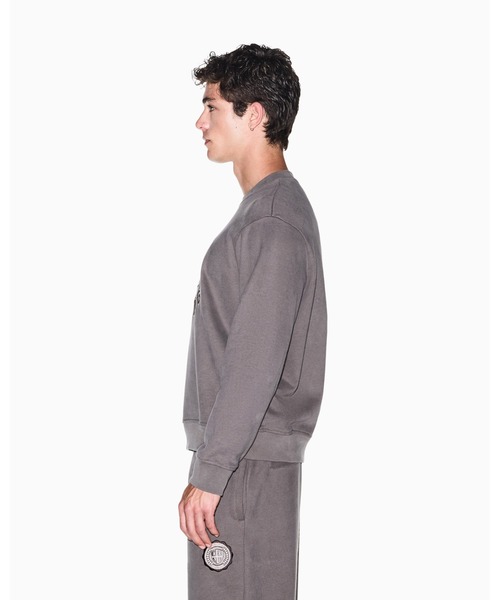 ARMANI EXCHANGE(アルマーニエクスチェンジ)の「【A|X アルマーニ エクスチェンジ】CO AXロゴ スウェットプルオーバー(スウェット・メンズ・グレイッシュベージュ・LARGE/X-LARGE/SMALL/MEDIUM/X-SMALL)」の2枚目の写真