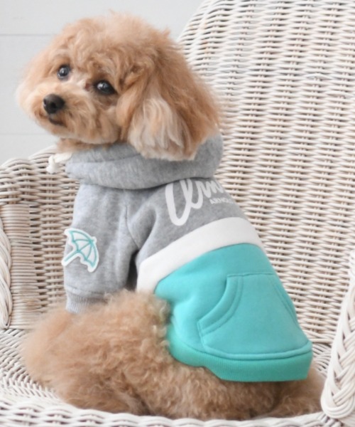 犬服　XLARGE  Arnold Palmer  3点セット Arnold Palmer（アーノルドパーマー）の「ARNOLD PALMER