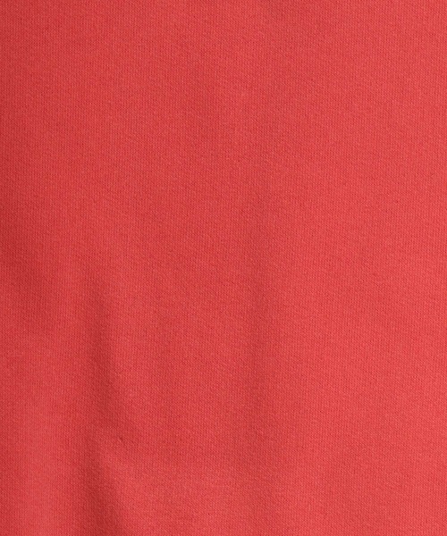 DISCUS ATHLETIC（ディスカス　アスレチック）の「DISCUS ATHLETIC（ディスカスアスレチック）ヘンリーネック ライトウェイトスウェットTシャツ レディース（スウェット・レディース・オレンジ/ネイビー/ホワイト系その他・M）」の20枚目の写真