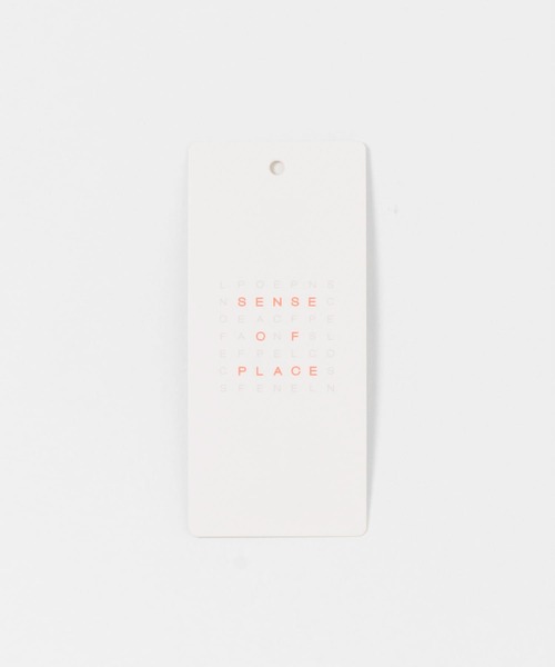 SENSE OF PLACE by URBAN RESEARCH(センスオブプレイスバイアーバンリサーチ)の「シャーリングドレープトップ(Tシャツ/カットソー・レディース・カーキ/チャコールグレー/ベージュ・ONE)」の12枚目の写真