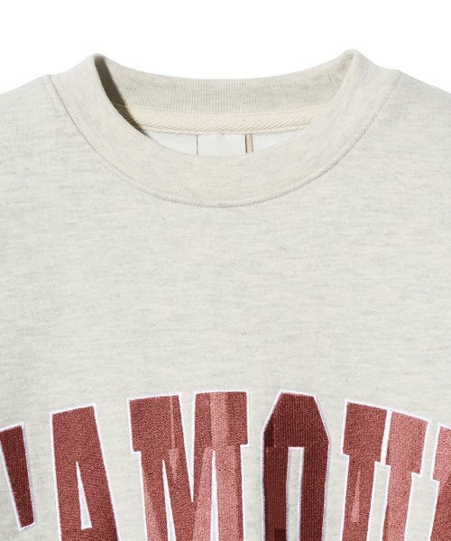 Diamond Layla(ダイアモンドレイラ)の「LAMOUR Big Embroidery Stitch Sweatshirt T87 Reddish Oatmeal(スウェット・レディース・その他・LARGE/MEDIUM/X-LARGE)」の4枚目の写真