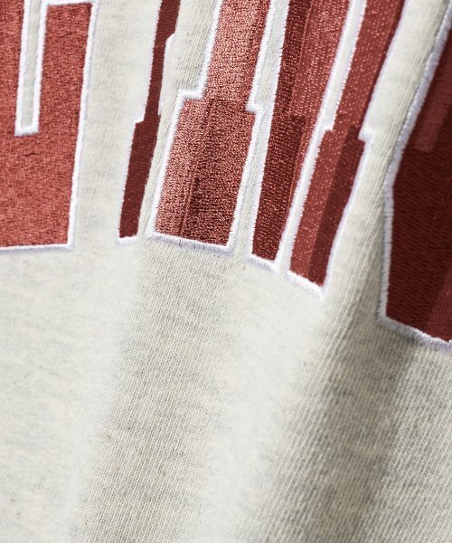 Diamond Layla(ダイアモンドレイラ)の「LAMOUR Big Embroidery Stitch Sweatshirt T87 Reddish Oatmeal(スウェット・レディース・その他・LARGE/MEDIUM/X-LARGE)」の7枚目の写真