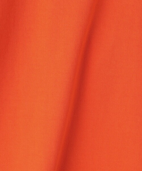 5525Gallery（ゴーゴーニーゴーギャラリー）の「【別注】 ＜5525gallery＞ AME HVY Tシャツ（Tシャツ/カットソー・メンズ・オレンジ/ホワイト・M/L/S）」の12枚目の写真