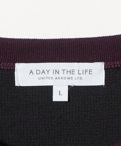 A DAY IN THE LIFE UNITED ARROWS(アデイインザライフユナイテッドアローズ)の「ダブルフェイス リップル カットソー<A DAY IN THE LIFE>(Tシャツ/カットソー・メンズ・ワイン/オリーブ/ブラック/ホワイト・M/XL/L/S)」の9枚目の写真