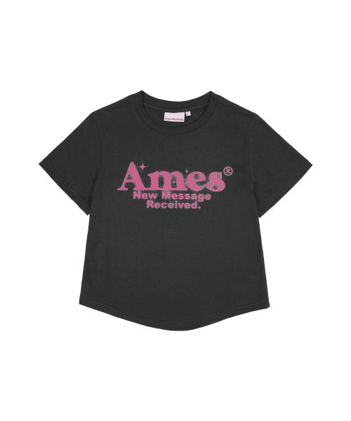 AMESWORLDWIDE（アメスワールドワイド）の「ROUND HEM CROP TEE CHARCOAL（Tシャツ/カットソー・レディース・その他・FREE）」の2枚目の写真