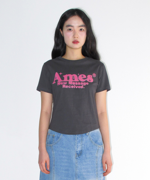 AMESWORLDWIDE(アメスワールドワイド)の「ROUND HEM CROP TEE CHARCOAL(Tシャツ/カットソー・レディース・その他・FREE)」の6枚目の写真