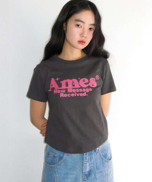 AMESWORLDWIDE(アメスワールドワイド)の「ROUND HEM CROP TEE CHARCOAL(Tシャツ/カットソー・レディース・その他・FREE)」の9枚目の写真
