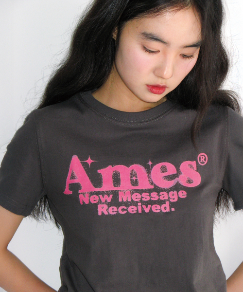 AMESWORLDWIDE(アメスワールドワイド)の「ROUND HEM CROP TEE CHARCOAL(Tシャツ/カットソー・レディース・その他・FREE)」の10枚目の写真