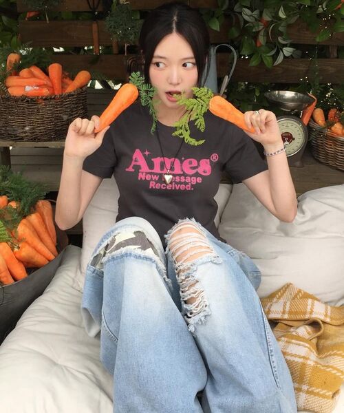 AMESWORLDWIDE(アメスワールドワイド)の「ROUND HEM CROP TEE CHARCOAL(Tシャツ/カットソー・レディース・その他・FREE)」の13枚目の写真