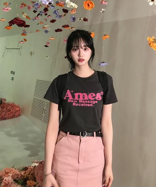 AMESWORLDWIDE(アメスワールドワイド)の「ROUND HEM CROP TEE CHARCOAL(Tシャツ/カットソー・レディース・その他・FREE)」の21枚目の写真
