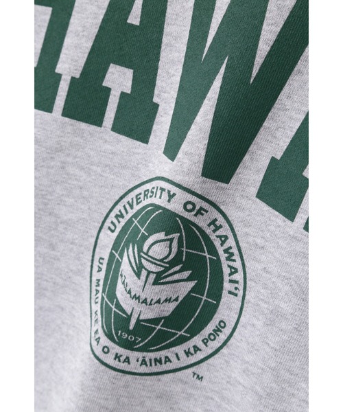 GOOD ROCK SPEED(グッドロックスピード)の「(GOOD ROCK SPEED)別注カレッジスエット(スウェット・レディース・グレー/グリーン・FREE)」の22枚目の写真