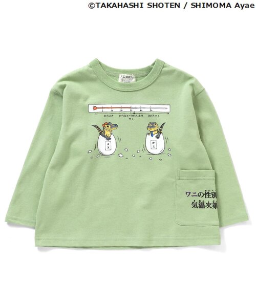 F.O.KIDS（エフオーキッズ）の「ざんねんないきもの事典コラボTシャツ（Tシャツ/カットソー・キッズ・ブラウン/グレー/カーキ/ブルー/アイボリー・90/100/110/120/80/130/95/140）」の4枚目の写真
