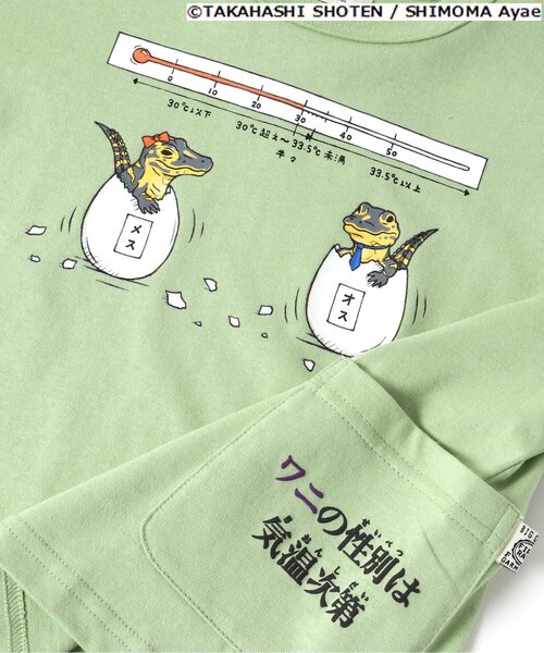 F.O.KIDS（エフオーキッズ）の「ざんねんないきもの事典コラボTシャツ（Tシャツ/カットソー・キッズ・ブラウン/グレー/カーキ/ブルー/アイボリー・90/100/110/120/80/130/95/140）」の9枚目の写真