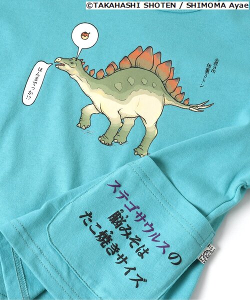 F.O.KIDS（エフオーキッズ）の「ざんねんないきもの事典コラボTシャツ（Tシャツ/カットソー・キッズ・ブラウン/グレー/カーキ/ブルー/アイボリー・90/100/110/120/80/130/95/140）」の11枚目の写真