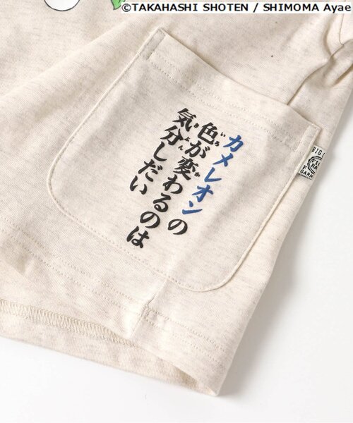 F.O.KIDS（エフオーキッズ）の「ざんねんないきもの事典コラボTシャツ（Tシャツ/カットソー・キッズ・ブラウン/グレー/カーキ/ブルー/アイボリー・90/100/110/120/80/130/95/140）」の13枚目の写真