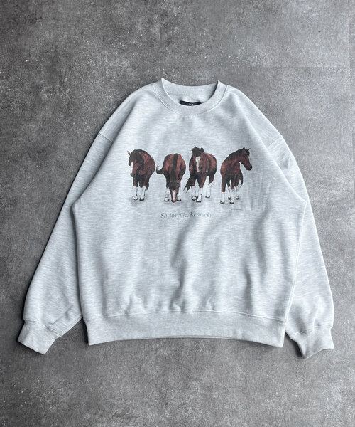 CPCM（シーピーシーエム）の「アニマル柄裏毛スウェット（Tシャツ/カットソー・メンズ・グレー系その他2/グレー系その他/グレー系その他3/グレー/グレー系その他4/グレー系その他5・MEDIUM/LARGE）」の22枚目の写真