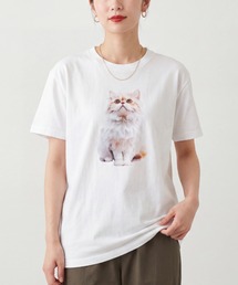 【T24】CAT PRINT TEE SS-2000HTC