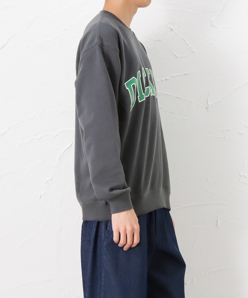 Dickies(ディッキーズ)の「Dickies ディッキーズ ロゴプリント スウェットトレーナー(スウェット・メンズ・ブルー/ベージュ/グレー・M/XL/L)」の6枚目の写真