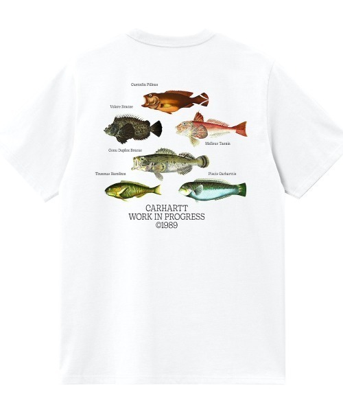 Carhartt WIP(カーハートダブリューアイピー)の「Carhartt WIP S/S Fish T-Shirt(カーハートワークインプログレス S/S フィッシュ Tシャツ)(Tシャツ/カットソー・メンズ・ブラック/ブルー系/ホワイト/グリーン系・SMALL/MEDIUM/LARGE/X-LARGE)」の6枚目の写真