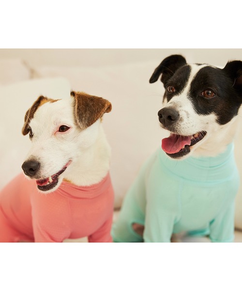 インセクトシールドスキンタイトスーツ/小型犬･中型犬（ペットウェア）｜MANDARINE BROTHERS（マンダリンブラザーズ）