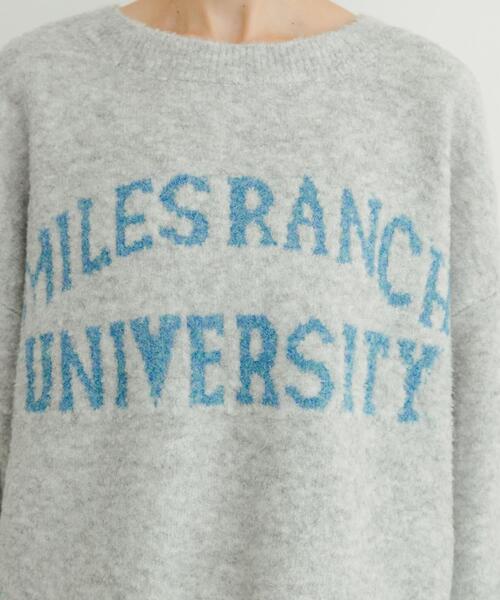 ITEMS URBANRESEARCH(アイテムズ アーバンリサーチ)の「ブークレビッグロゴニット(ニット/セーター・レディース・ブラウン/ライトグレー/ミント・FREE)」の8枚目の写真
