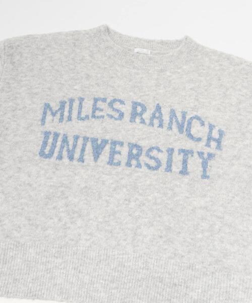 ITEMS URBANRESEARCH(アイテムズ アーバンリサーチ)の「ブークレビッグロゴニット(ニット/セーター・レディース・ブラウン/ライトグレー/ミント・FREE)」の11枚目の写真