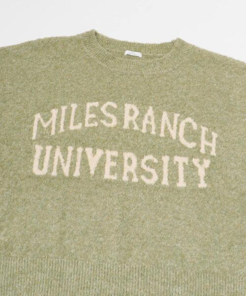 ITEMS URBANRESEARCH(アイテムズ アーバンリサーチ)の「ブークレビッグロゴニット(ニット/セーター・レディース・ブラウン/ライトグレー/ミント・FREE)」の15枚目の写真