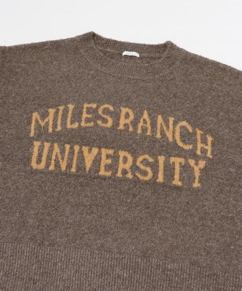 ITEMS URBANRESEARCH(アイテムズ アーバンリサーチ)の「ブークレビッグロゴニット(ニット/セーター・レディース・ブラウン/ライトグレー/ミント・FREE)」の20枚目の写真