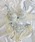 SaneiiTGCj́uyFeminine Stylez[tt[vg+e݌vIԂ̃{UP܂iu&V[cjvbu[
