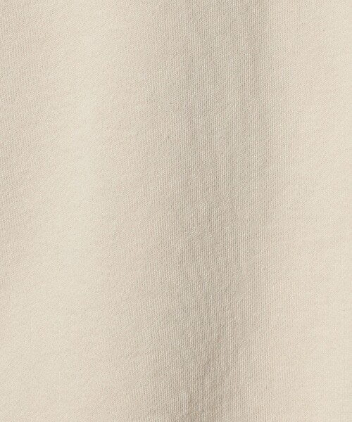 A DAY IN THE LIFE UNITED ARROWS（アデイインザライフユナイテッドアローズ）の「ヴィンテージライク ロゴスウェット ＜A DAY IN THE LIFE＞（Tシャツ/カットソー・レディース・ブラック/ライトブルー/ナチュラル・FREE）」の16枚目の写真