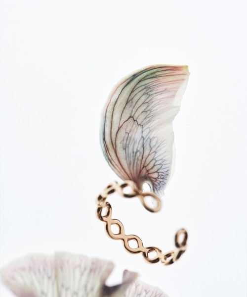 Fauvirame（フォーヴィレイム）の「【Fauvirame】10K Seaweed Ring（リング・レディース・GOLD・10）」の4枚目の写真